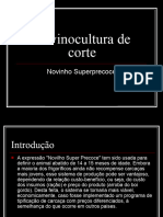 Bovinocultura de Corte