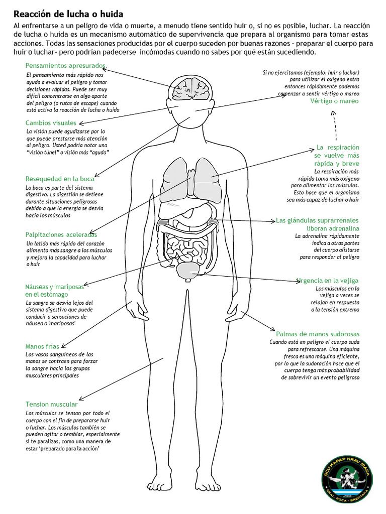 Modulo 2 Anexo I Reaccion De Lucha O Huida Pdf Respuesta De