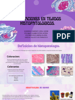 Grupo N°2 - Coloraciones en Tejidos Histopatológicos