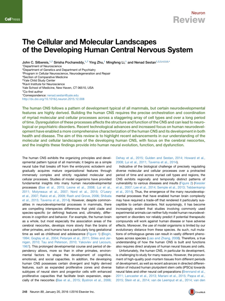 The Cellular and Molecular Landscapes of The Developing Human Central ...
