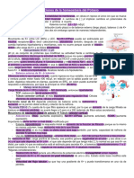 Alteraciones de La Homeostasis Del Potasio