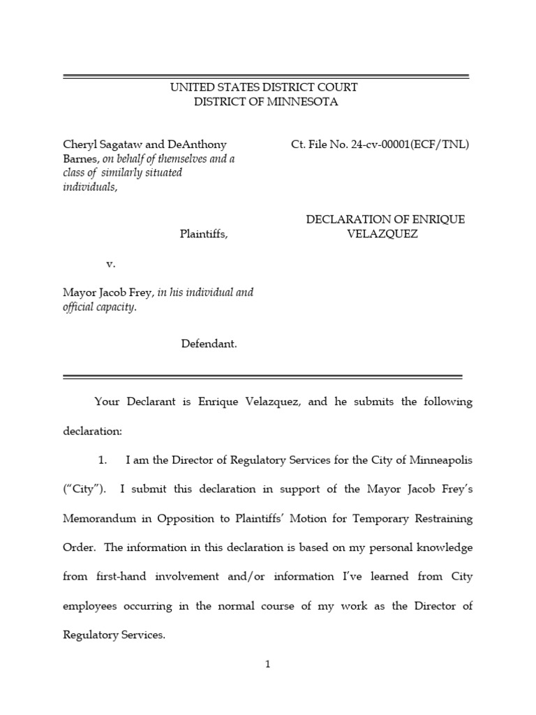 Director of Regulatory Services For The City of Minneapolis Declaration ...