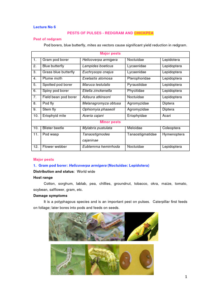 Pests of Pulses: Redgram & Chickpea | PDF | Pupa | Lepidoptera