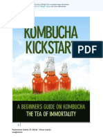 Kombucha Kickstart LT