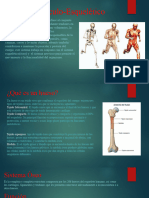 Sistema Musculo-Esquelético