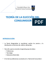 Teoría de La Elección Del Consumidor