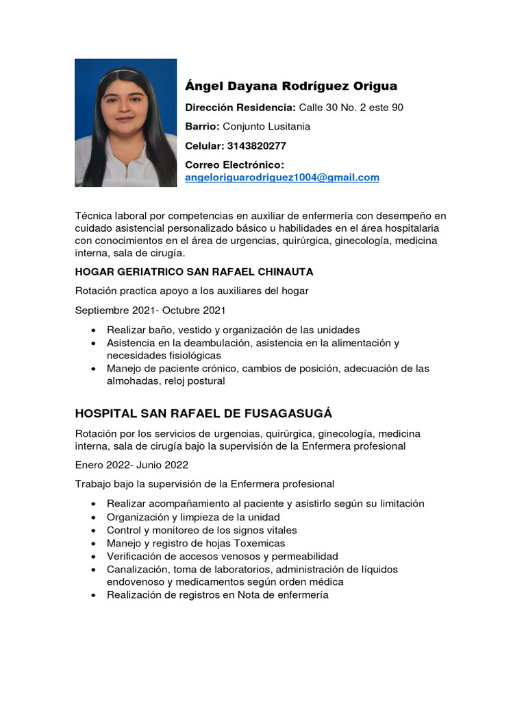 Perfil Profesional de Ángel Origua | PDF