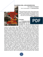 Estudos de Grande Sertão Veredas (Unimontes 2023 - Prof. Guilherme Rodrigues - Colégio Foco)