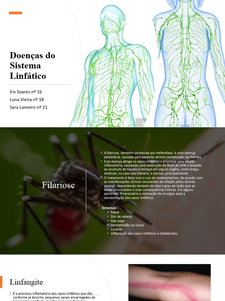 Cn Sistema Linfático Doenças Pdf