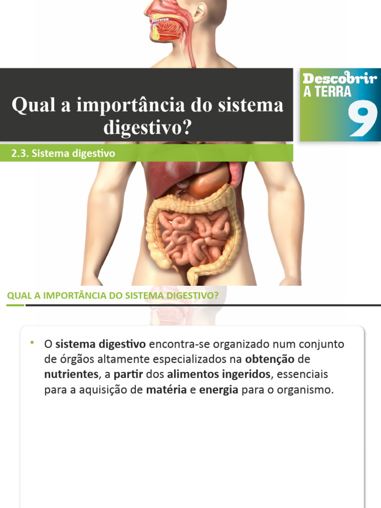 Importância do Sistema Digestivo | PDF