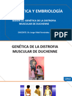 Semana 13 Teoría Genética Distrofia Muscular de Duchenne