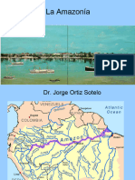 Amazonia Historia