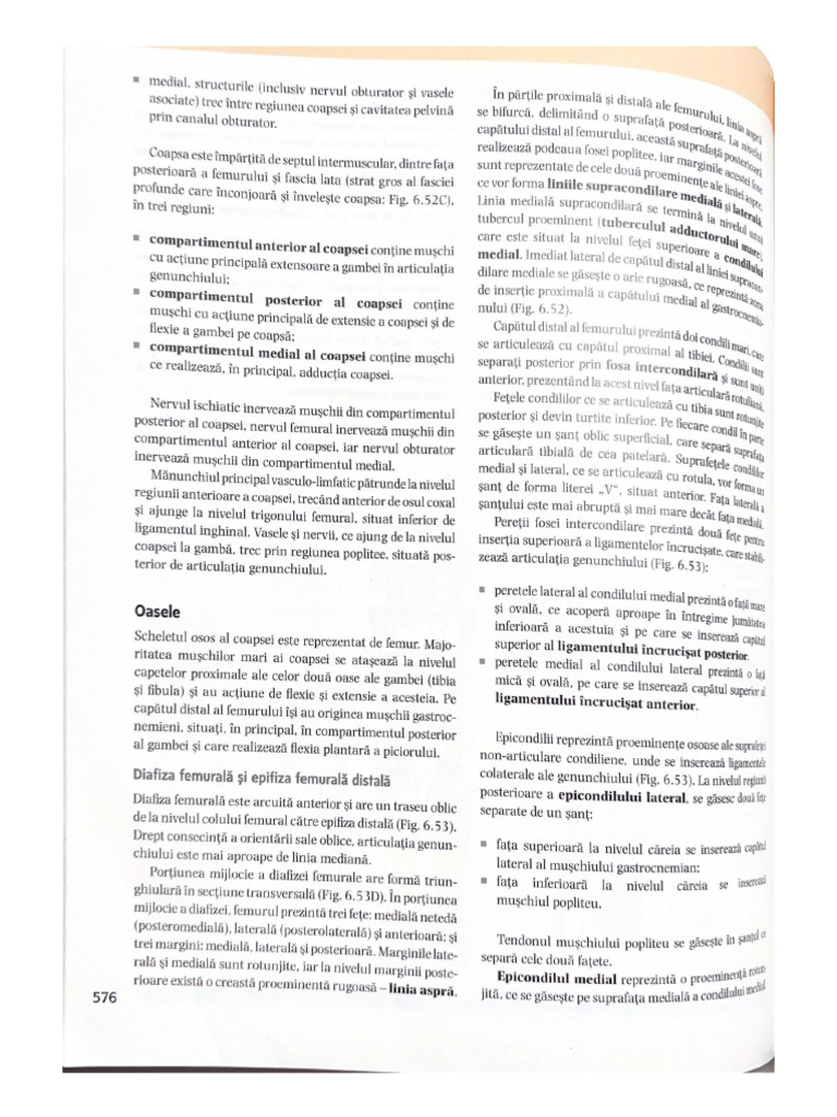 grays-pdf