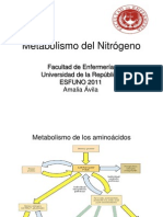 Metabolismo del nitrógeno clase 9