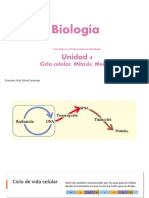 Ciclo Celular. Mitosis. Meiosis. 2023