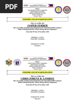 BSP Camp Participation Certificate | PDF