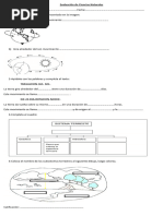 Evaluación de Ciencias Naturalestercer trimestre