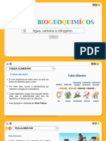 Ciclos Biogeoquímicos