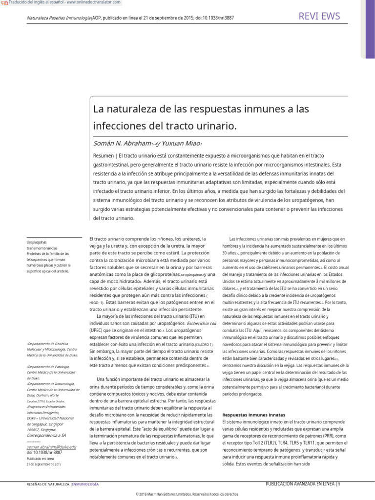 Infecciones Del Tracto Urinario Pdf Sistema Inmune Inflamación