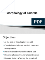 Structure of Bacteria