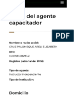 Alta Agente Capacitador Externo