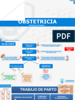 Priming Obstetricia I