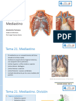 Tema 21 Mediastino