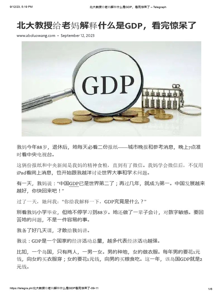 北大教授解释什么是GDP | PDF
