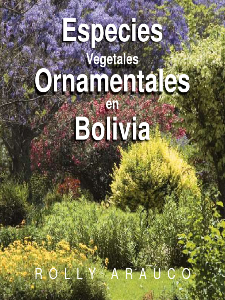 Ocean Master MAX Classic | Tuuci, image size:768x1024