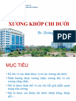 Xuong Chi Duoi BMGP