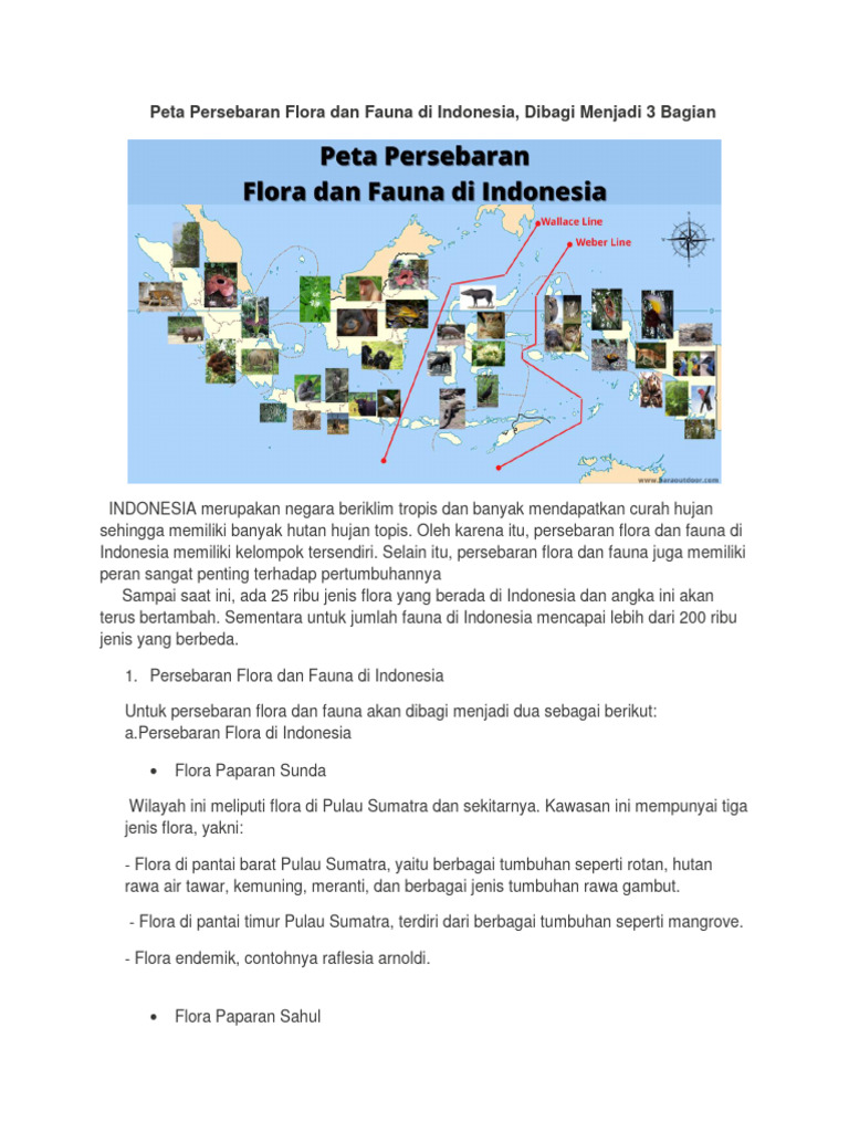 Peta Persebaran Flora Dan Fauna Di Indonesia Pdf