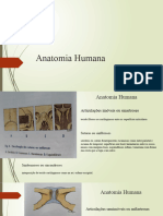 Anatomia Humana Artcs Musc Membros Tronco e Abdomen Alunos