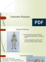 Anatomia 1