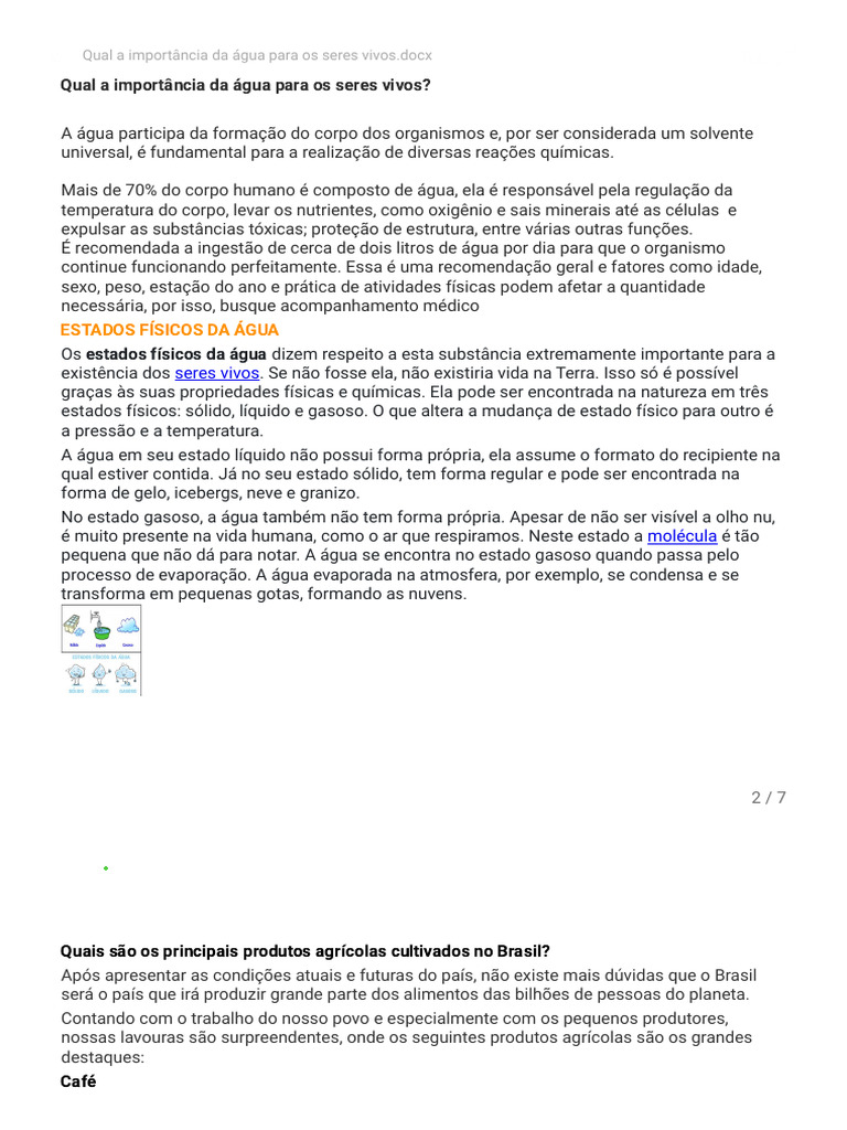 Qual A Importância Da água Para Os Seres Vivos Docx Microsoft Word