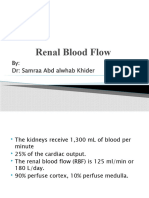 Renal Blood Flow Sheet