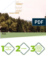 Stratégie Forêts Du Maroc