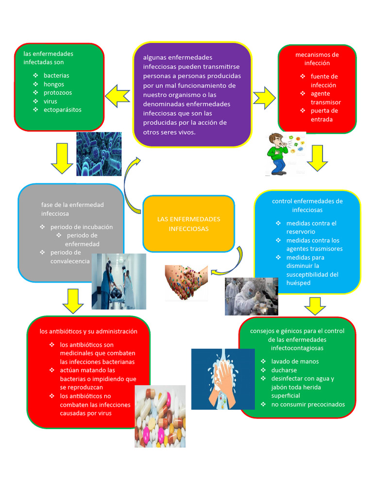 Guía de Enfermedades Infecciosas | PDF | Infección | Virus