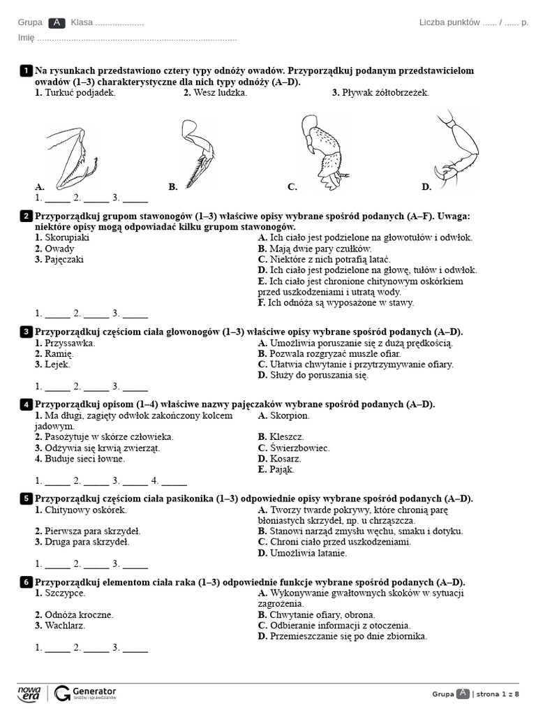 Stawonogi I Mięczaki Klasa 6 Stawonogi I Mięczaki Test (Bez Widocznej Punktacji) | PDF