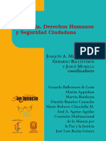 Violencia Seguridad Ciudadana y Derechos Humanos30297