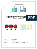 Chemistry Project Term 2