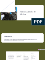 Fuerzas Armadas de Mexico 23