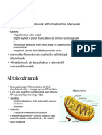 Sejtváz, Mitokondrium