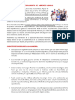 Funcionamiento CARACTERÍSTICAS Mercado Laboral