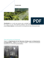 Tipos de Bosques en Guatemala