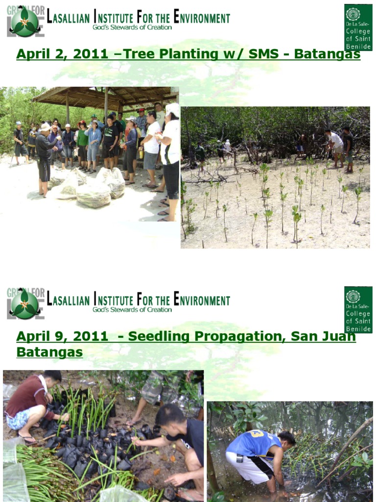 Tree Planting and Clean-Up Events in Batangas | PDF | Wellness