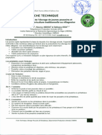 Fiche Technique: Amélioration de L'élevage de Jeunes Poussins Et Pintadeaux en Aviculture Traditionne e Ou Villageoise