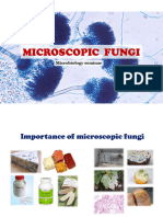Microscopic Fungi Seminar
