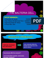 The Bacteria Cell: Group Members