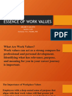 Essence of Work Values