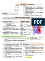 FISIOLOGIA DEL CORAZON (Resumen)